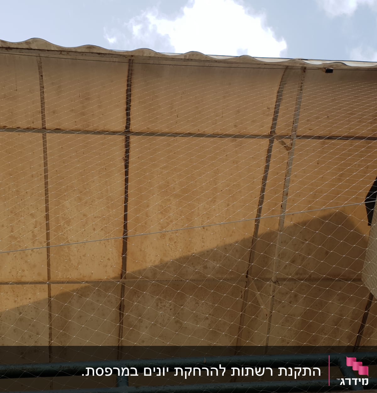 רשת למניעת כניסת יונים מתחת לגג